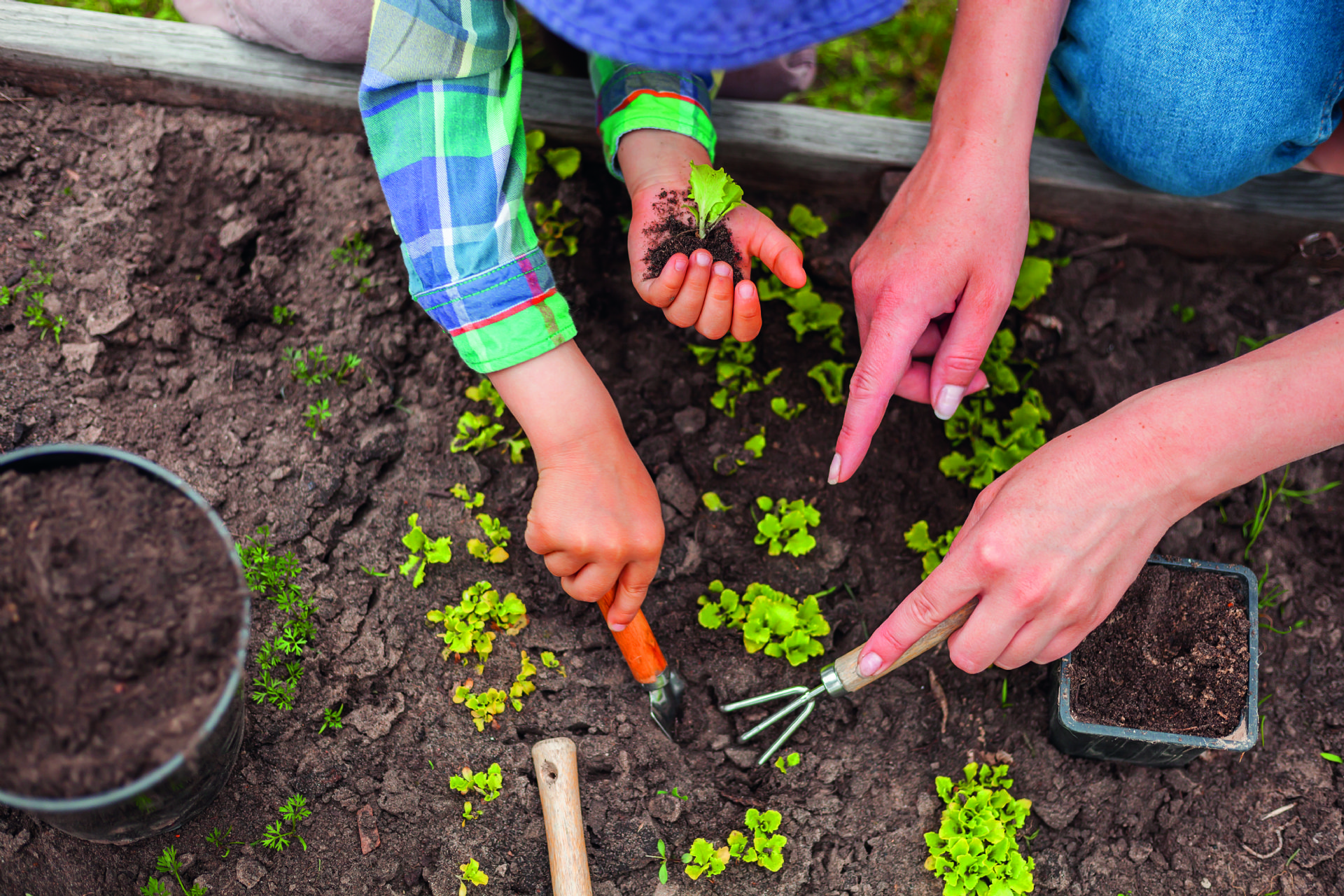 AICG accoglie Ital-Agro: quando esperienza e competenza supportano il verde