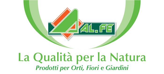 Alfe Srl