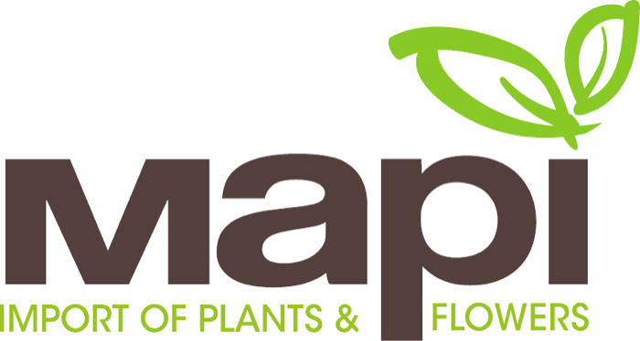 Mapi Srl