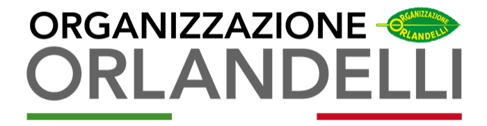 Organizzazione Orlandelli Srl