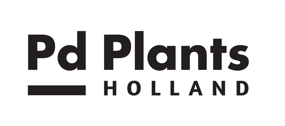 PD PLANTS