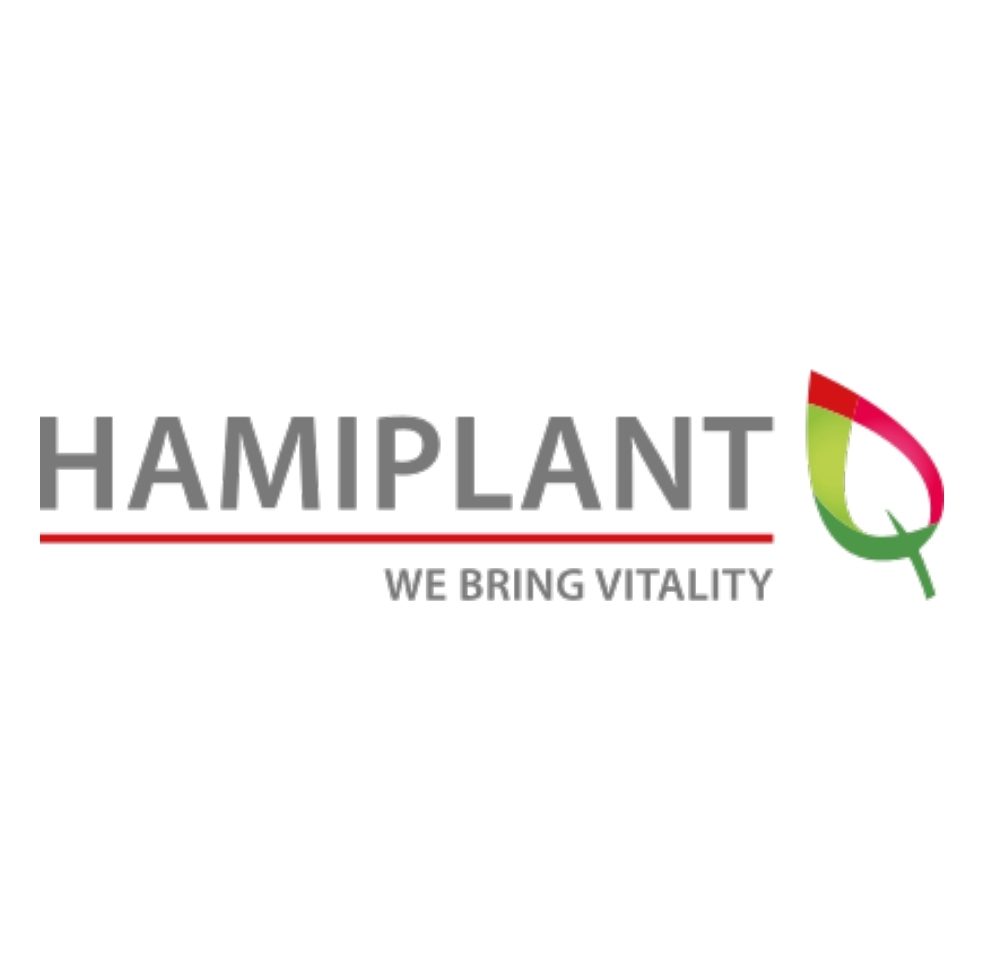 Hamiplant