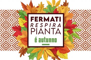 Torna il Garden Festival d&#39;Autunno!