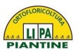 LIPA