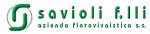 Savioli f.lli