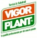 Vigorplant