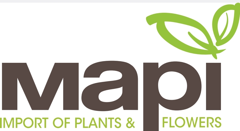 MAPI